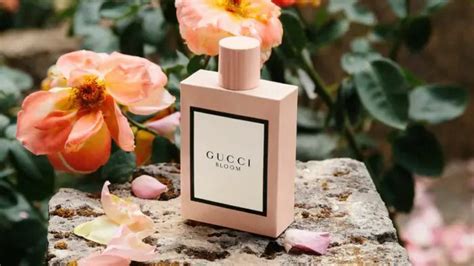 gucci bloom notas|gucci bloom longevity.